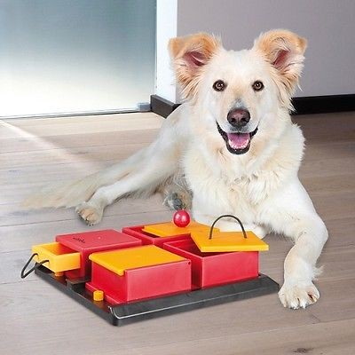 Cute dog with food puzzle.