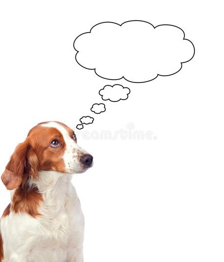 a dog thinking, with empty cloud thought graphic