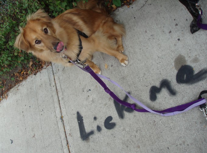 Notley, inspired by graffiti, licks her lips