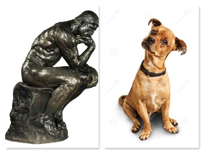 the thinker, the statue, and the thinker, the dog