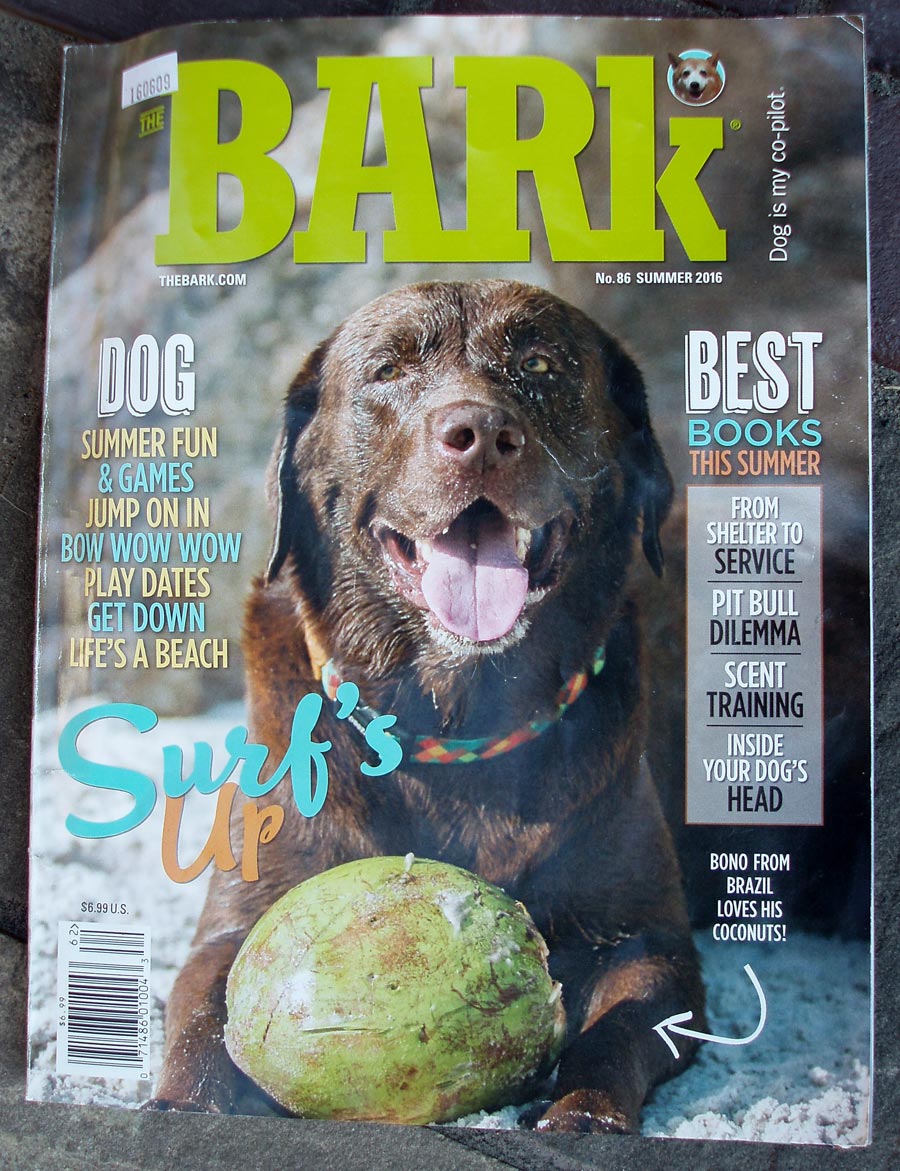 Bark magazine